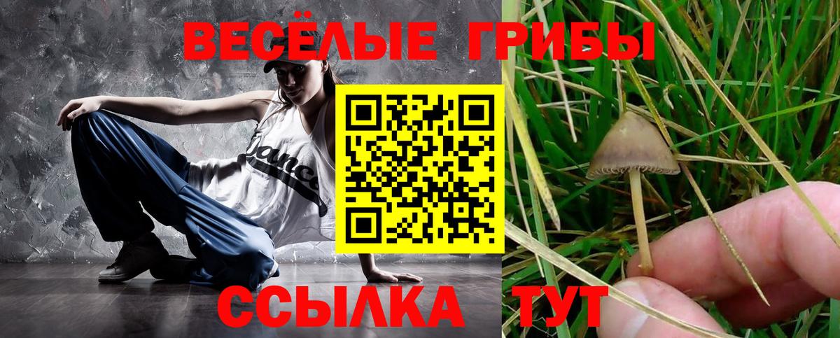 Псилоцибиновые грибы Magic Shrooms  Галлюциногенные грибы мухоморы  Вход с VPN  Ленинск-Кузнецкий 