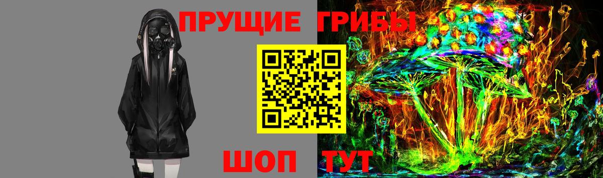 Галлюциногенные грибы Cubensis Ленинск-Кузнецкий